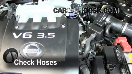 Nissan Altima Transmission Fluid ~ Perfect Nissan